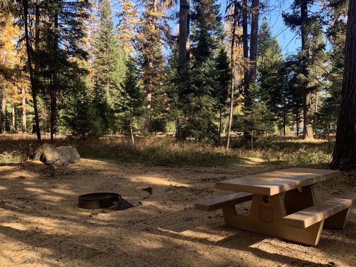 A photo of Site SLS11 in Loop 1 at Seeley Lake Lolo Campground (MT) with picnic table, fire ring. 