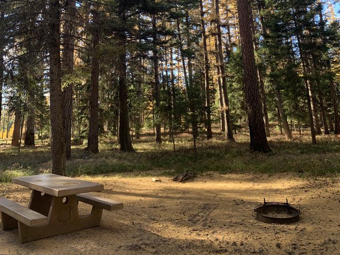 A photo of Site SLS13 in Loop 1 at Seeley Lake Lolo Campground (MT) with picnic table, fire ring. 