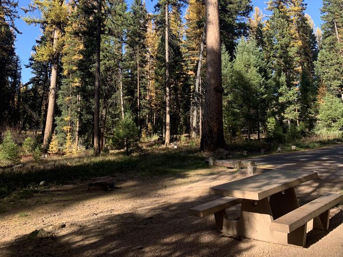 A photo of Site SLS15 in Loop 2 at Seeley Lake Lolo Campground (MT) with picnic table, fire ring. 