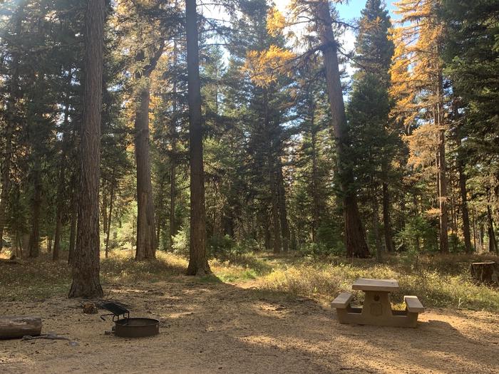 A photo of Site SLS17 Loop 2 at Seeley Lake Lolo Campground (MT) with picnic table, campfire ring. 