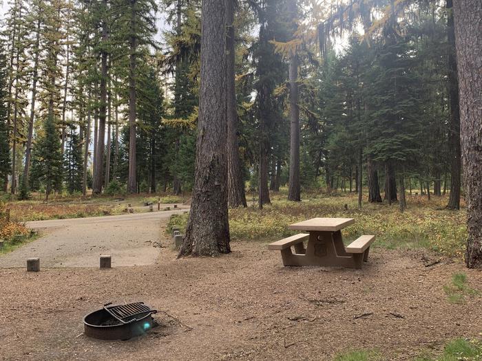 A photo of Site SLS19 in Loop 2 at Seeley Lake Lolo Campground (MT) with Picnic Table, campfire ring.