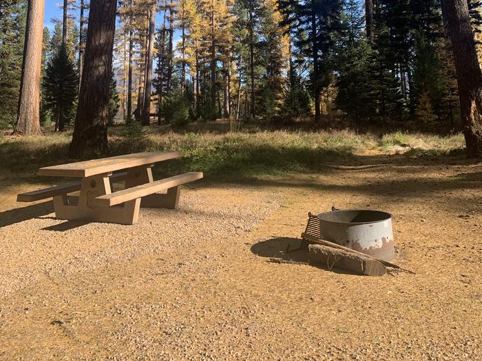A photo of Site SLS21 in Loop 2 at Seeley Lake Lolo Campground (MT) with picnic table, campfire ring.
