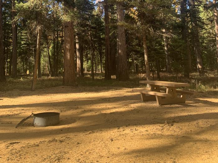 A photo of Site SLS22 in Loop 2 at Seeley Lake Lolo Campground (MT) with picnic table, campfire ring.