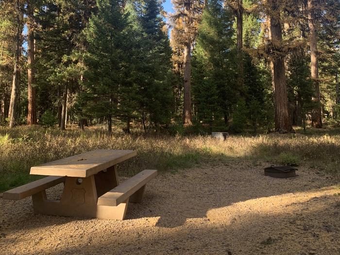 A photo of Site SLS23 in Loop 2 at Seeley Lake Lolo Campground (MT) with picnic table, campfire ring.