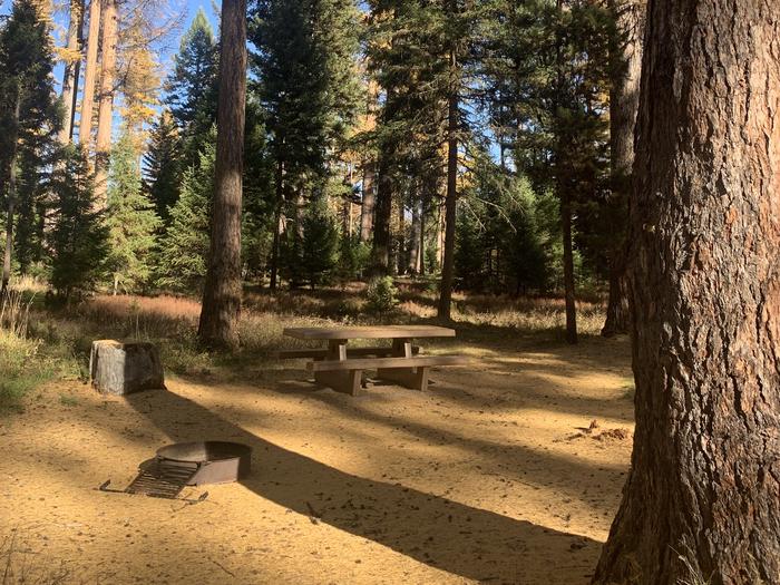 A photo of Site SLS24 in Loop 2 at Seeley Lake Lolo Campground (MT) with picnic table, campfire ring.
