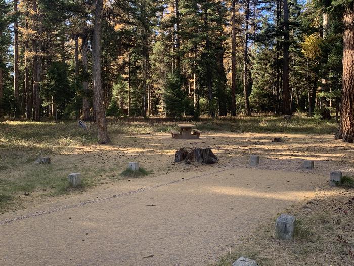 A photo of Site SLS25 in Loop 2 at Seeley Lake Lolo Campground (MT) with campsite marker, parking area, and picnic table. 