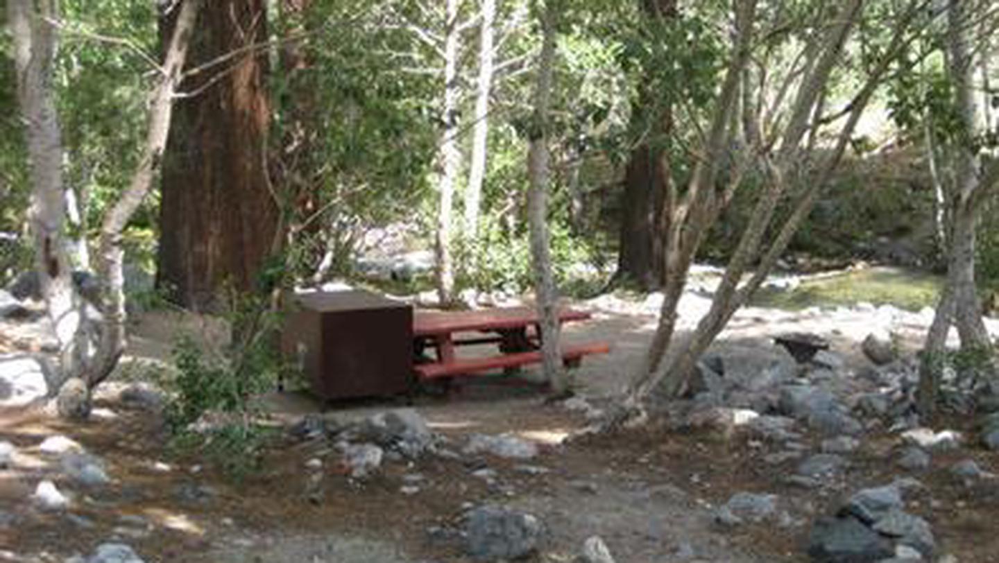 Campsite near a creek in a pine forest, at Upper Sage Flat. The campsite includes a picnic table and bear box.Upper Sage Flat Campsite