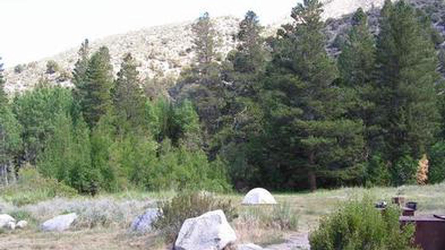 Rocky boulders and shrub grasses in a campgroundAspen Group (Inyo)
