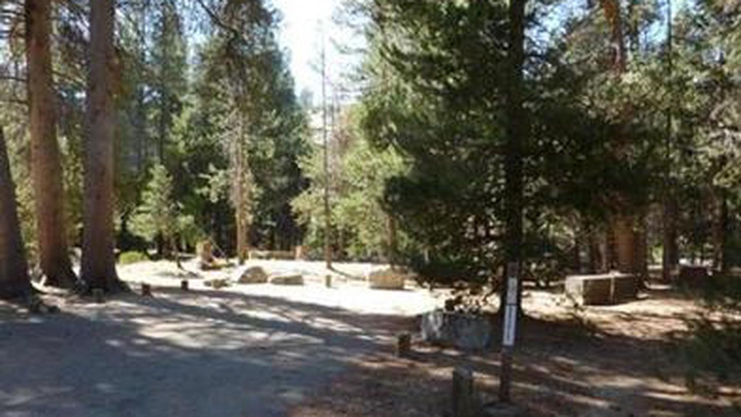Campsites in a shaded groveJackass Meadow Campground