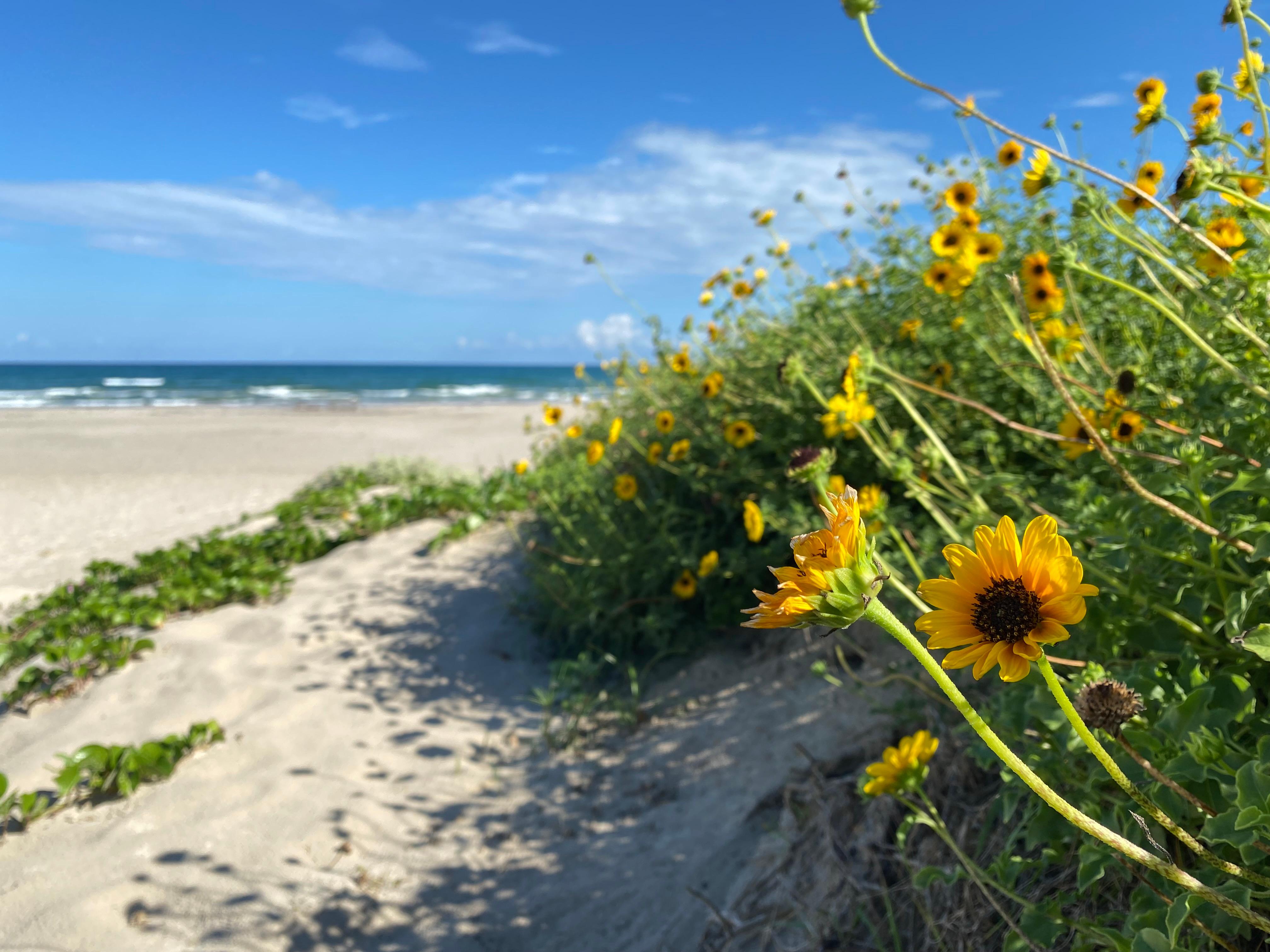 Malaquite Beach