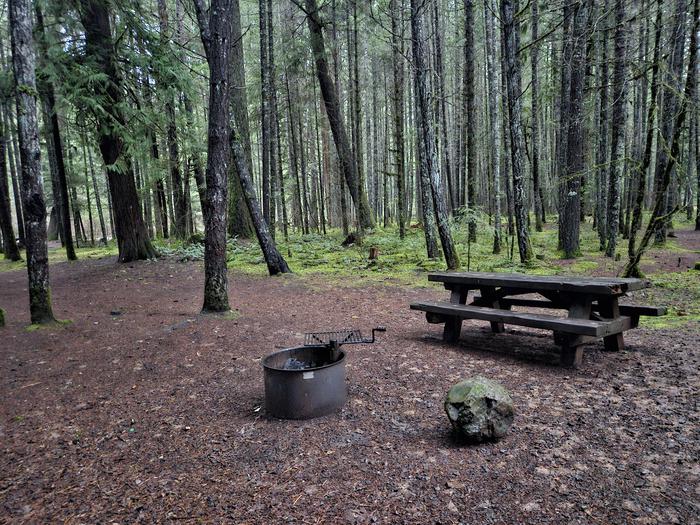 Picnic table and fire ring Site A13