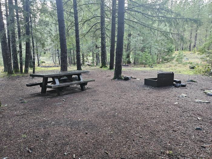 Picnic table and fire ring site B01