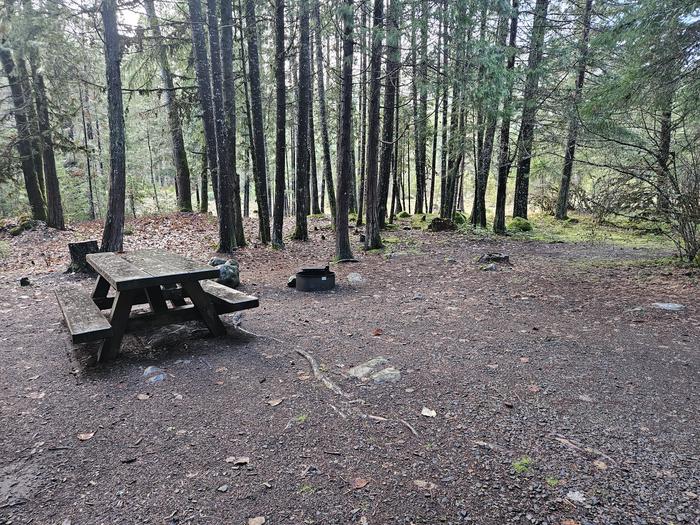 Picnic table and fire ring site B02