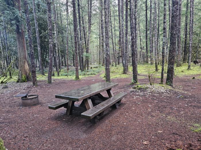 Picnic table and fire ring site B03