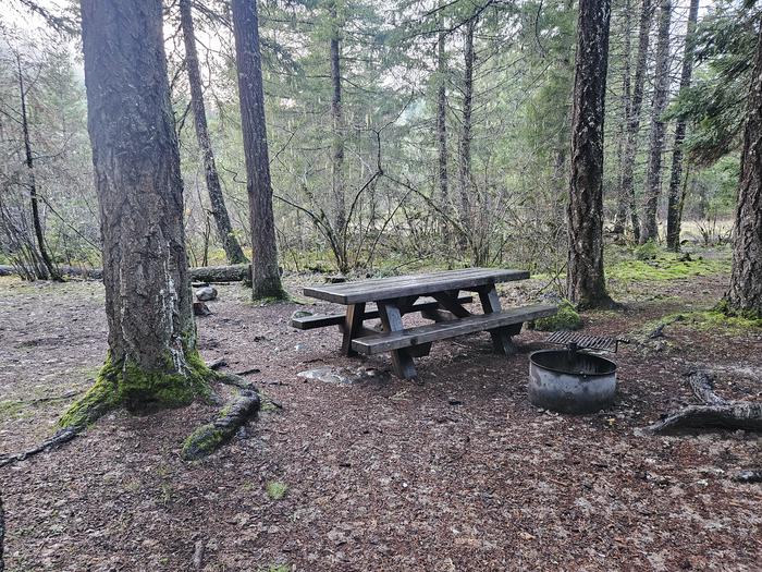 Picnic table and fire ring site B06