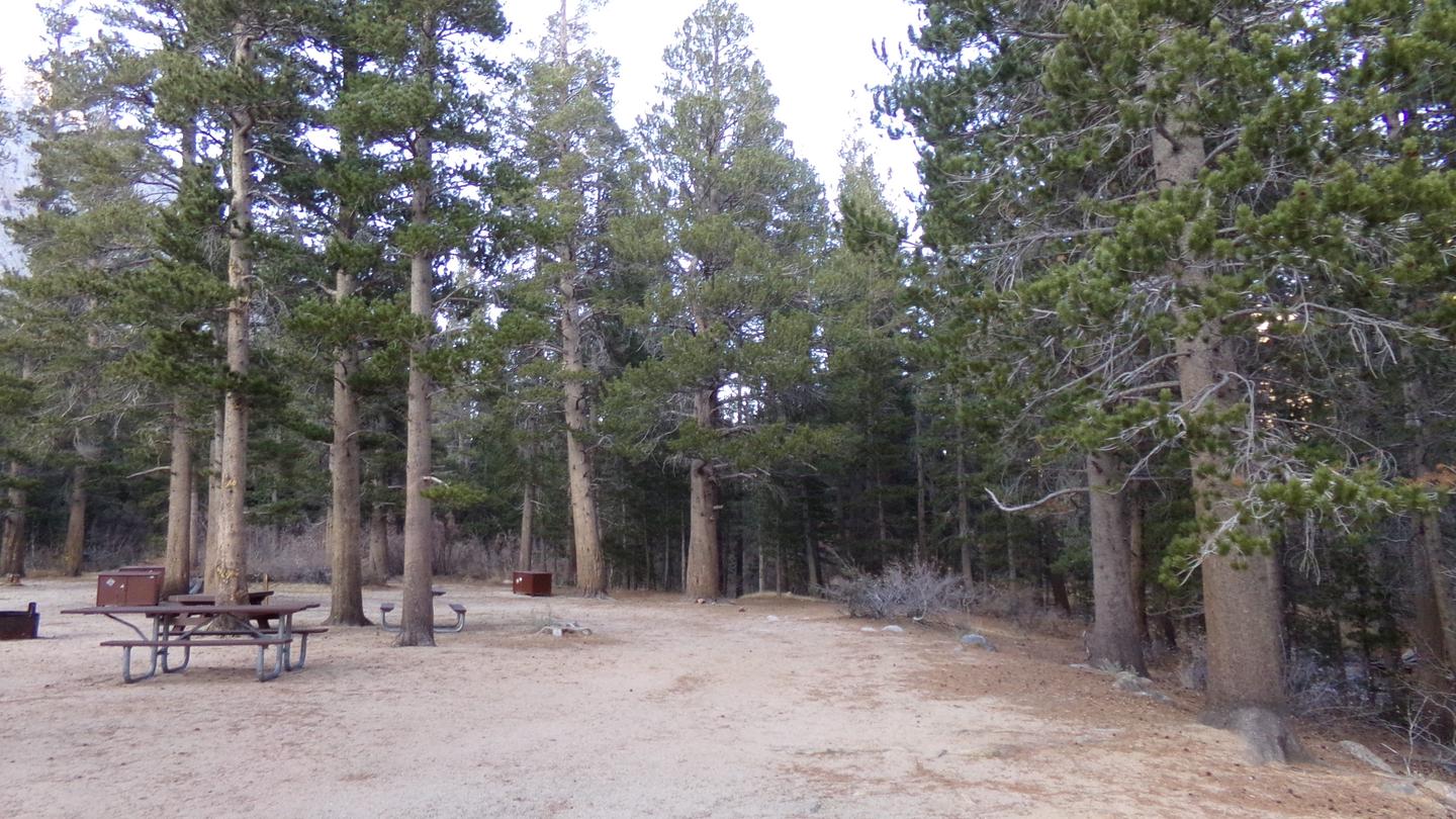 Several picnic tables and metal bear boxes in a grove of treesPalisades Group Campground