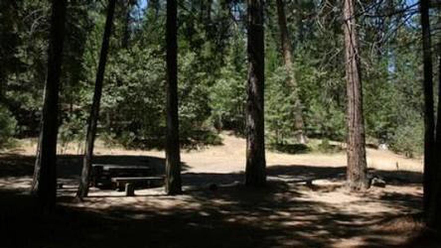 A picnic table under a shady groveRock Creek (Sierra National Forest)