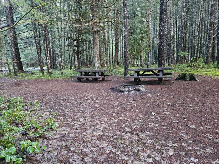 Picnic table and fire ring site B10