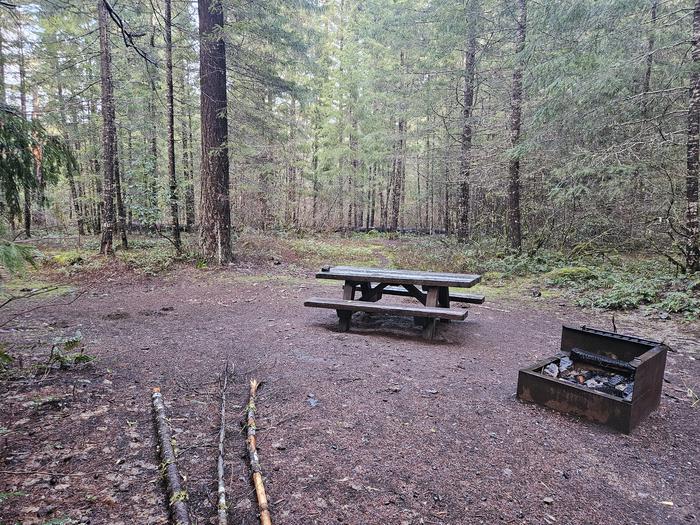 Picnic table and fire ring site B13