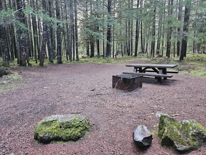 Picnic table and parking pad at site B14