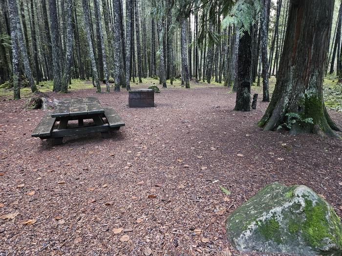 Picnic table and fire ring at site B15