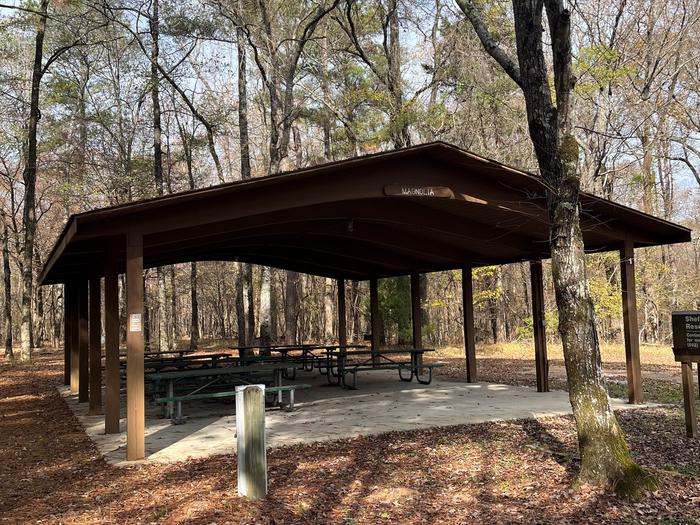 Waverly Day Use is quiet picnic area in the woods.Waverly Day Use is a quiet picnic area in the woods where families can enjoy a sunny day.