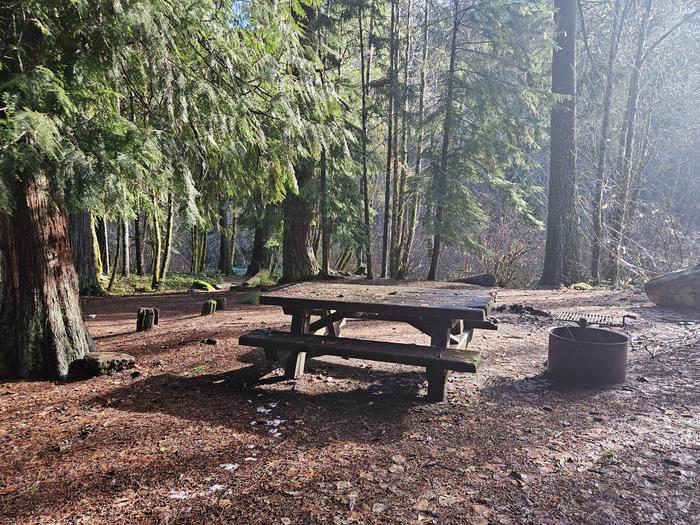 Picnic table and fire ring site A02