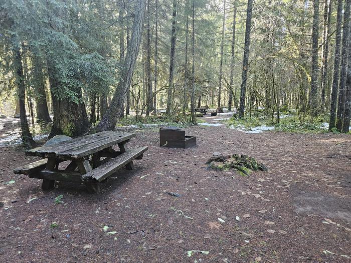 Picnic table and fire ring site A07