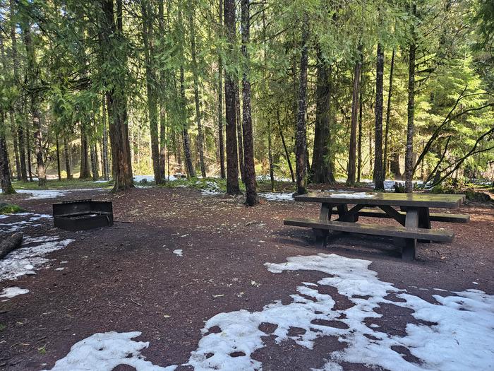 Picnic table and fire ring site A10