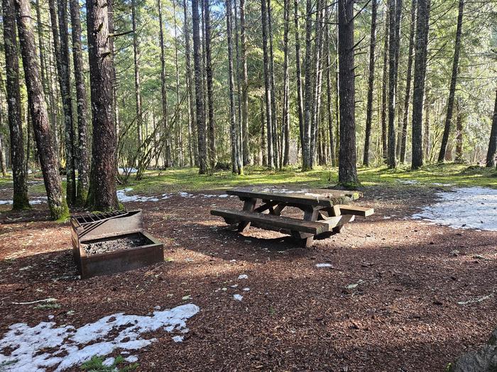 Picnic table and fire ring site A16