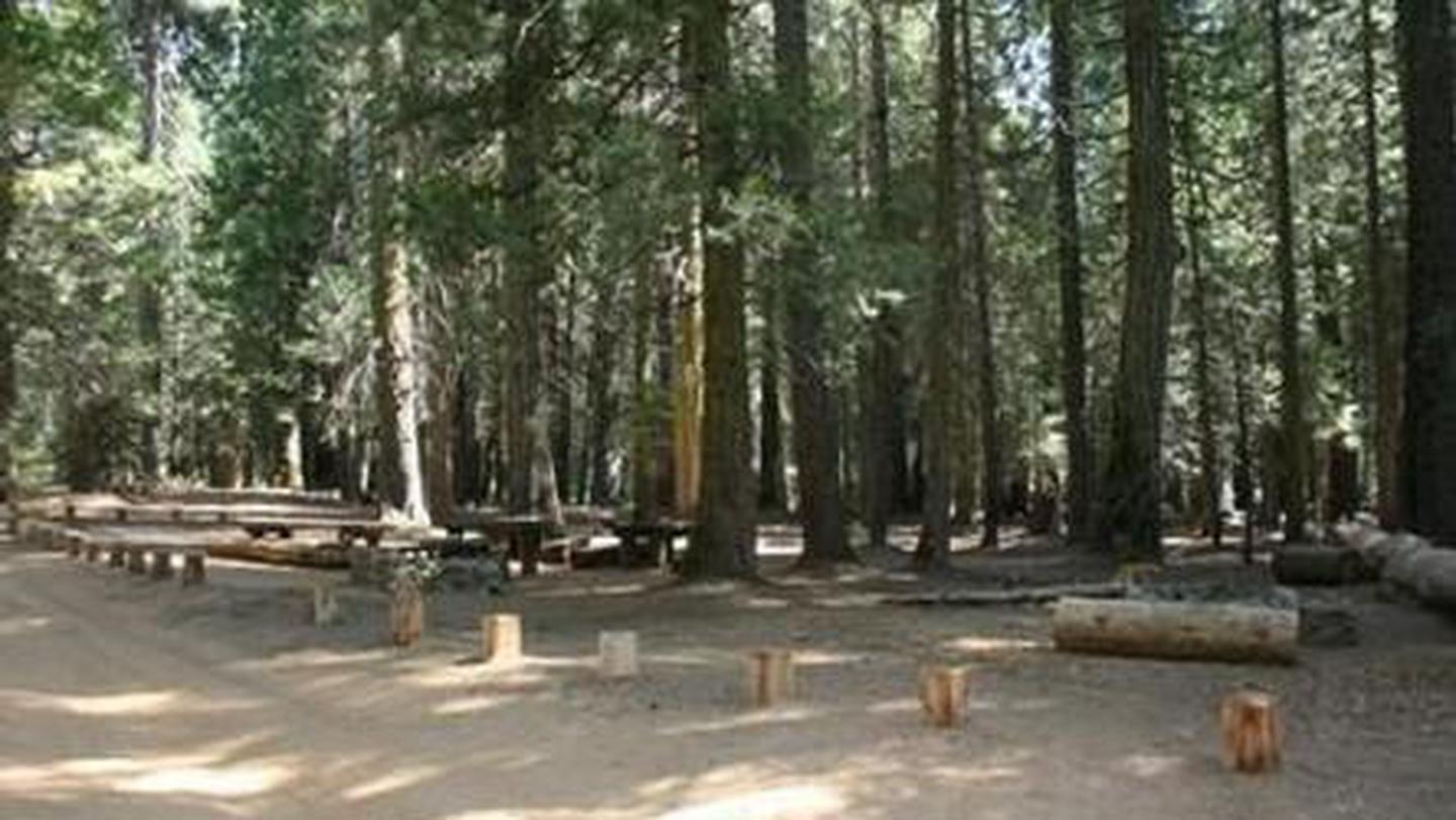 Picnic tables and logs under a grove of treesTexas Flats Campground