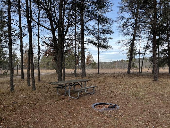 A photo of Site 2 of Loop  at Meadows ORV Campground with Picnic Table, Fire Pit