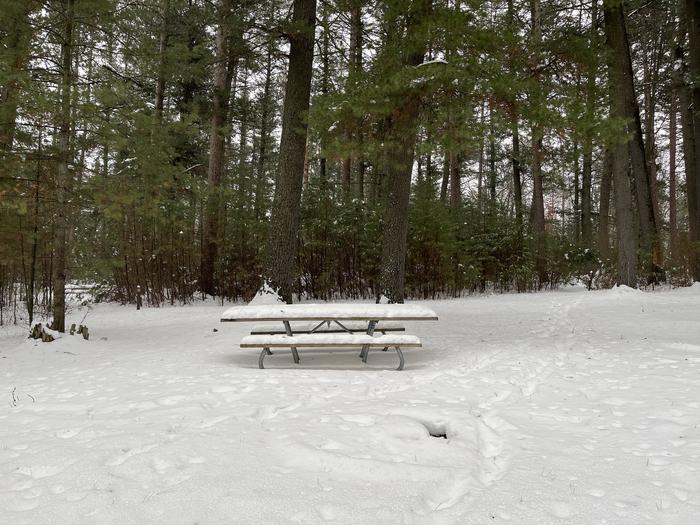 A photo of Site 2 of Loop Hike To at Wakeley Lake Campground with Picnic Table