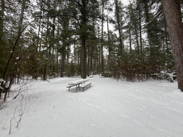 A photo of Site 3 of Loop Hike To at Wakeley Lake Campground with Picnic Table
