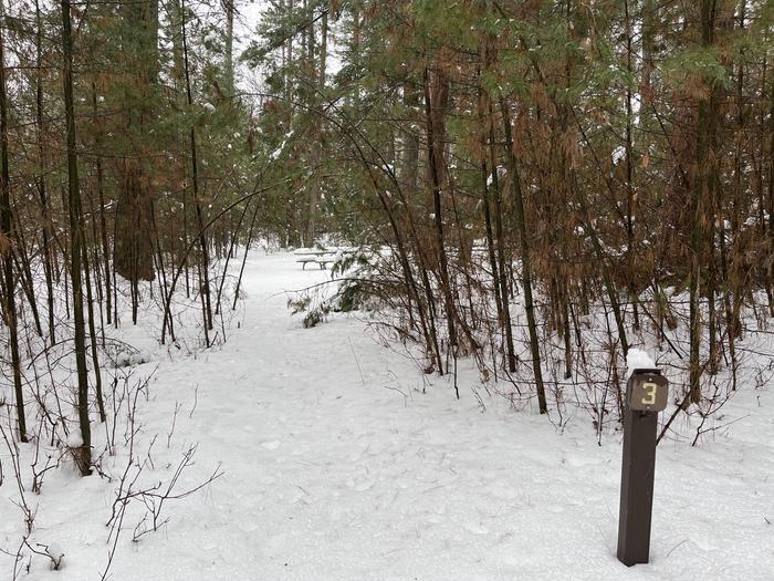 A photo of Site 3 of Loop Hike To at Wakeley Lake Campground with No Amenities Shown