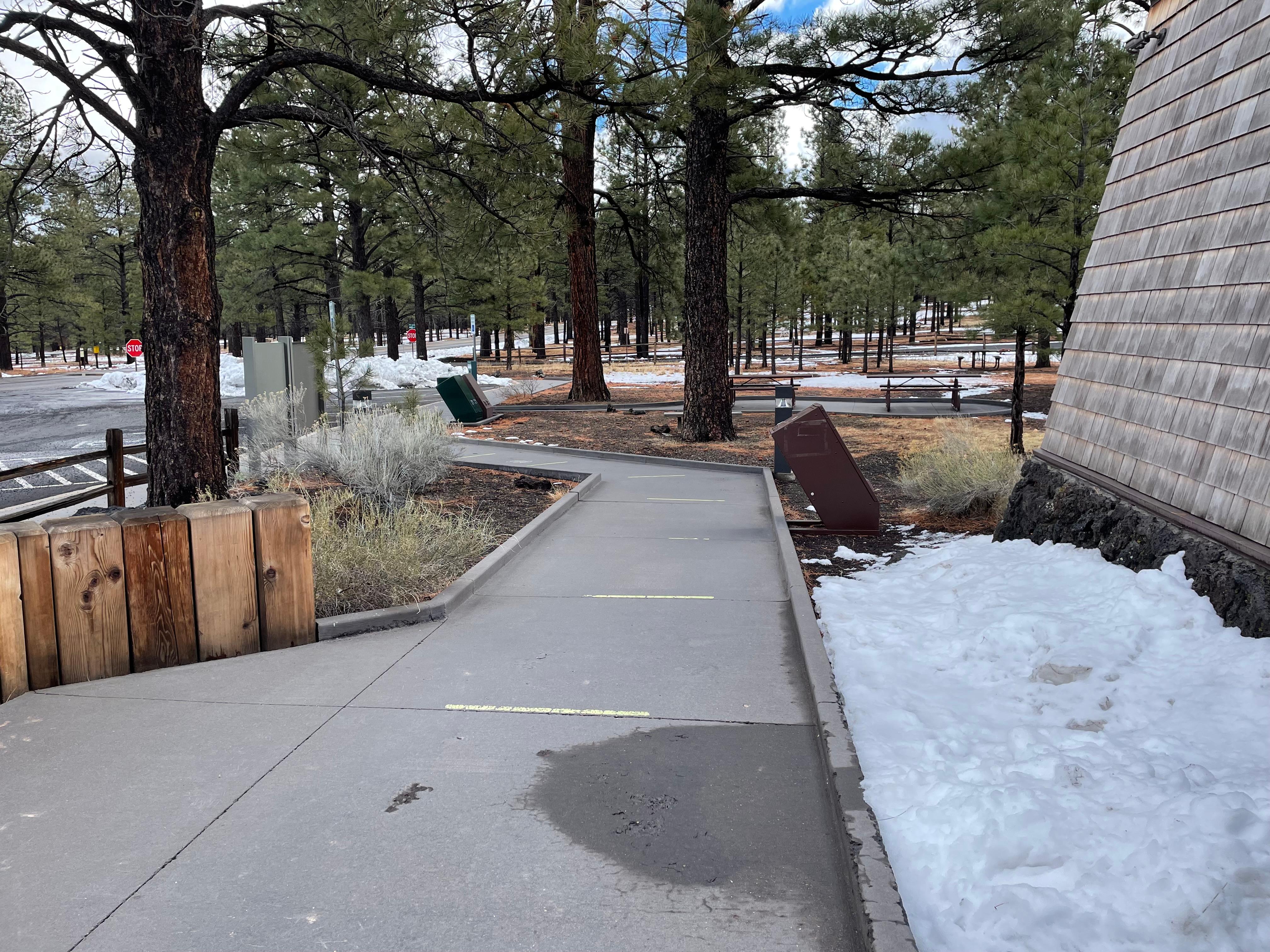 Sunset Crater Volcano Visitor Center from left walkway