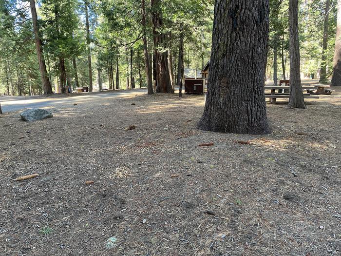 Right side of site that shows picnic table, fire ring, and bear box and nearby site
