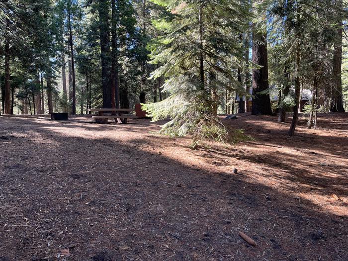Right-rear side of site that shows picnic table, bear box,and fire ringRight-rear side of site
