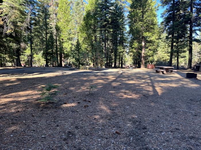 Right side of site showing picnic table, fire ring, and bear box nearby another siteRight side of site