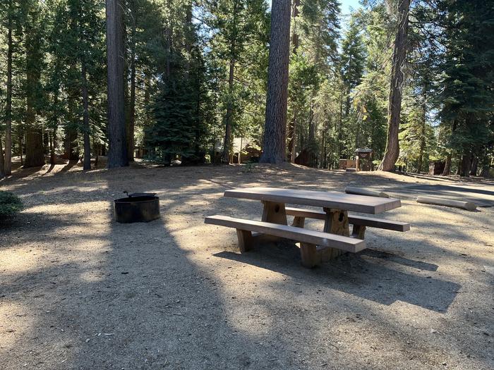 Included picnic table and fire ring just in front of parking padPicnic table and fire ring in front of parking pad