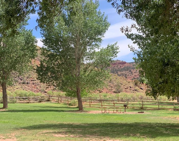 A picnic table, fire pit, and grill are on a patch of dirt. The area is surrounded by grass. A tree is immediately to the left of the picnic table. Red-colored hills are in the background.Site 44, Loop B in summer.
Walk-In Tent Site.