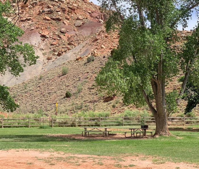 2 picnic tables, a grill, and a fire pit are in the center of the image on a patch of dirt. The area is surrounded by grass. A tree is immediately to the right of them. Red-colored hills are in the background.Site 46, Loop B in summer.
Walk-In Tent Site. 