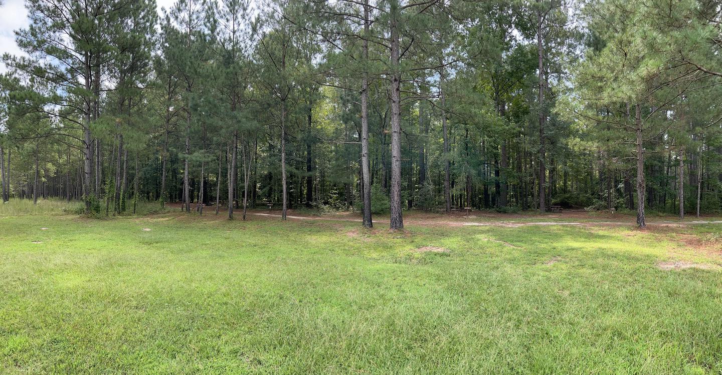 A photo of facility Longleaf Campground with No Amenities Shown