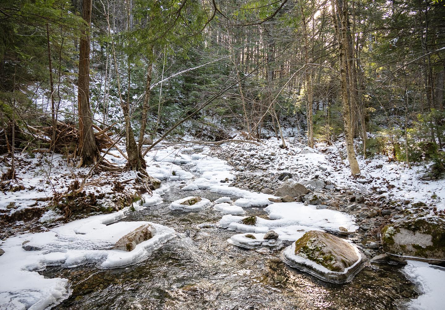 A brook in a forest. Snow and ice form around the rocks in the brook and dust the landscape.Big Spring Brook