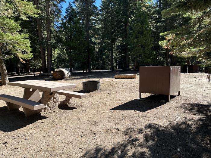 Included picnic table, bear box, and fire ring in sitePicnic table, bear box, and fire ring in site