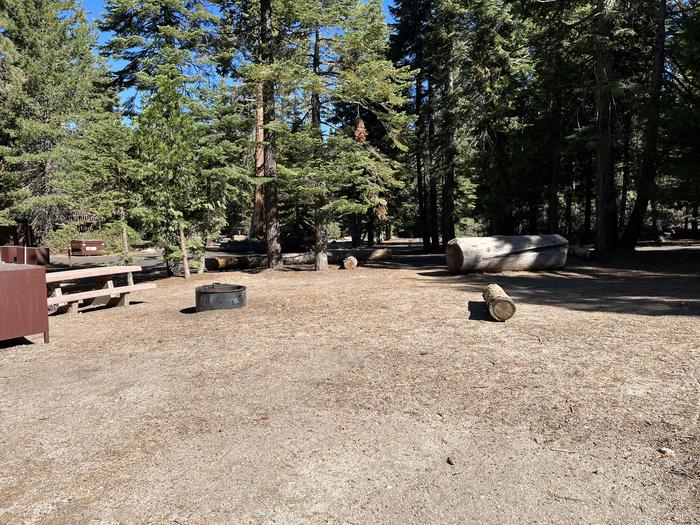 Back right side of site that shows fire ring, bear box, and picnic tableBack right side of site 