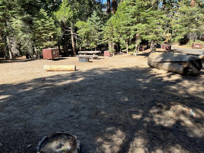 Left side of site that shows picnic table, bear box, and fire ring in siteLeft side of site