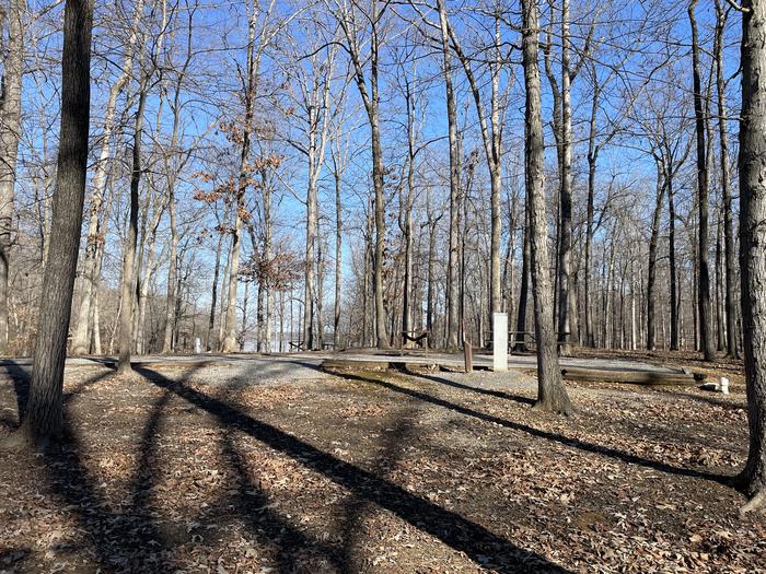 Side view photo of Site 044 of Loop Woods at CANAL