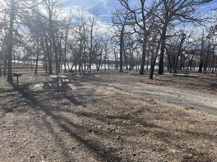 A photo of Site A19 of Loop A-LO at PAT MAYSE WEST with Picnic Table, Electricity Hookup, Fire Pit, Lantern Pole, Water Hookup