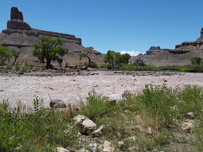 A photo looking across a river rapid to low buttes on the other sideLooking across the river at Gunnison Butte